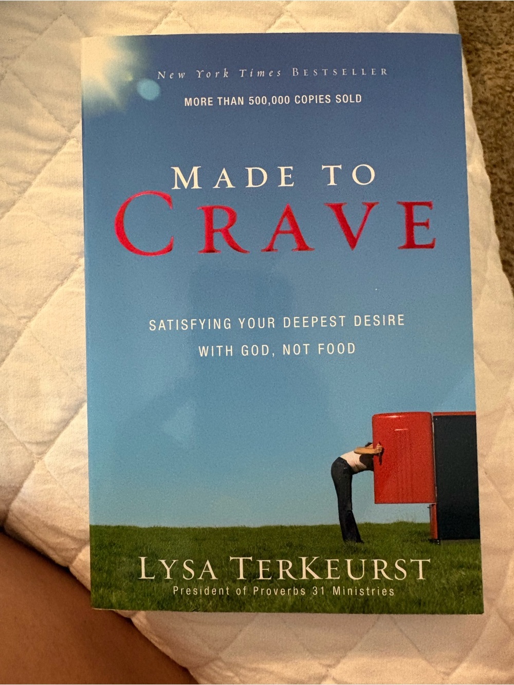 Made to Crave by - Blue Cover Inspirational Book